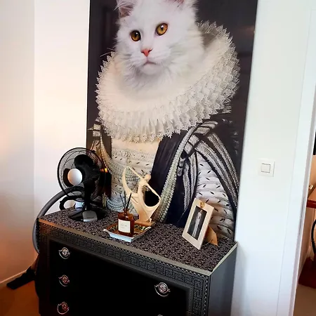 Apartament Little Hollywood Ostenda